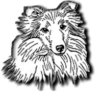 SSSC